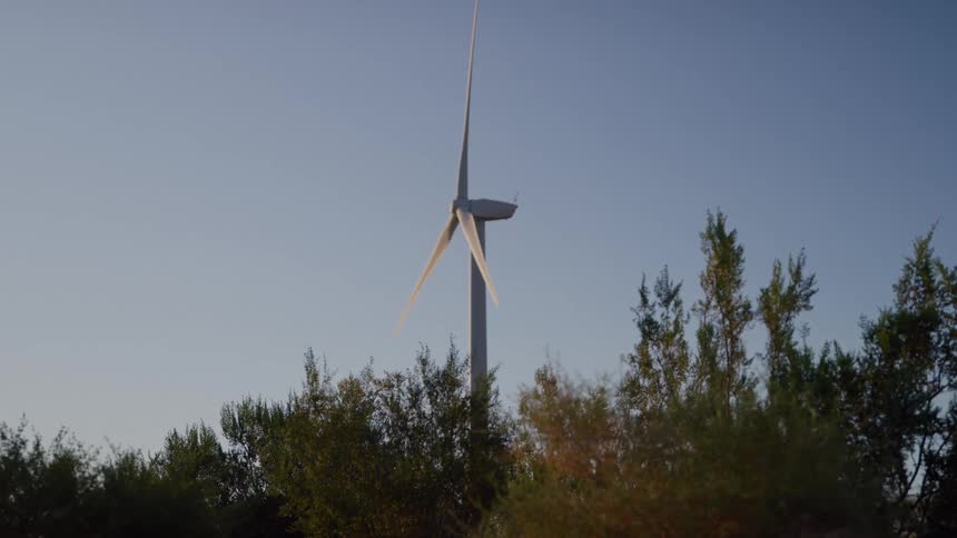Sunlight shines on a wind turbine spinning above trees