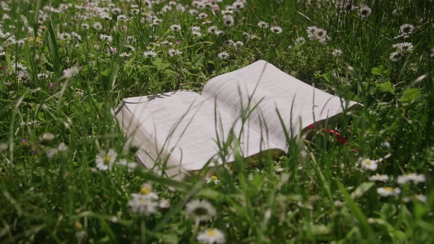 A book lies open on the grass