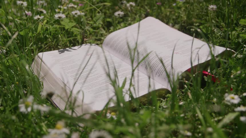 A book lying open on the grass