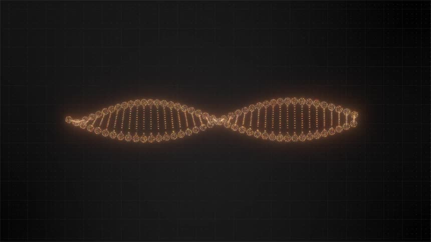 A glowing golden orange digital representation of a dna double helix rotates and pulsates horizontally against a dark grid background