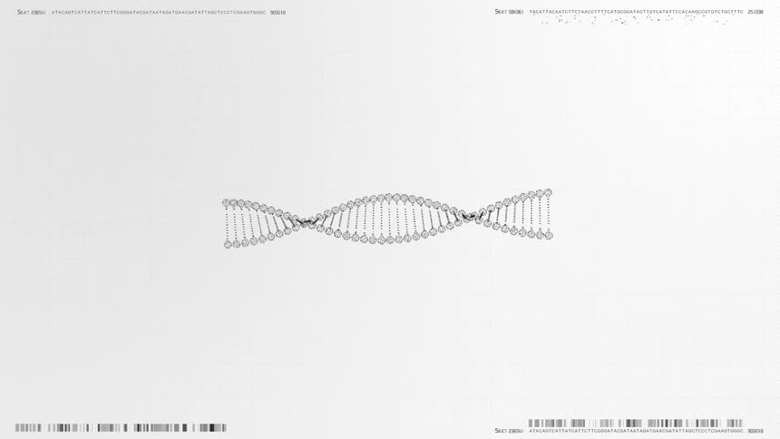 A digital animation of a monochromatic dna double helix structure rotates against a clean white background detailed with faint grid lines and scrolling rows of genetic sequence code data
