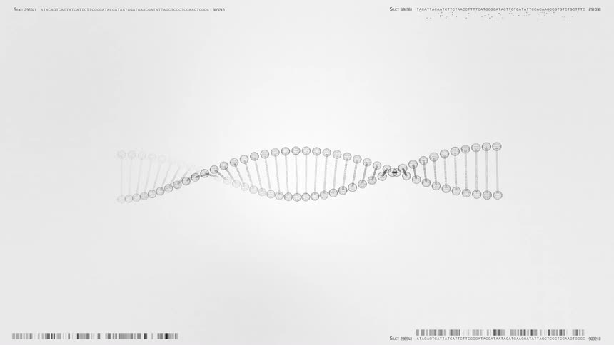A digital rendering of a monochromatic wireframe dna double helix is centered on a screen with genomic data and barcodes above and belowagainst a bright white interface background