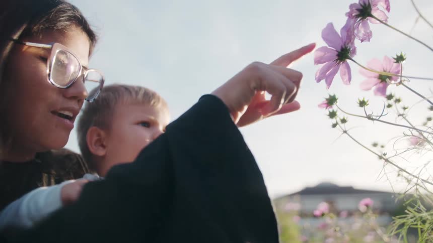 A mother and son reach out to touch pink cosmos flowers in a sunny garden