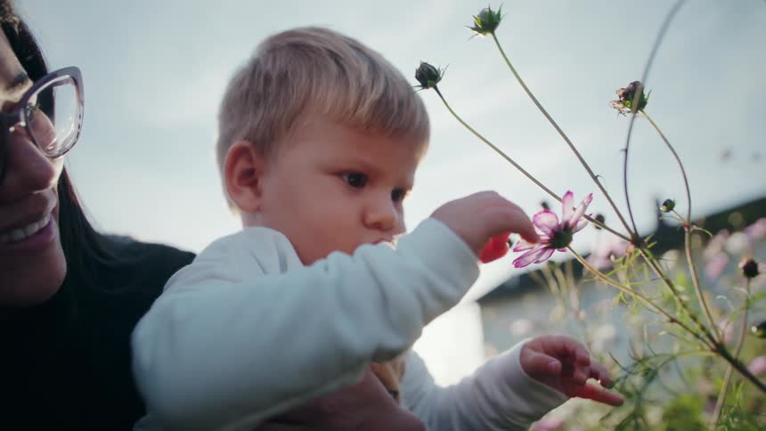 A woman wearing large glasses smiles brightly while holding a young blondehaired child up to examine a pink flower all captured outdoors with a bright sunlight