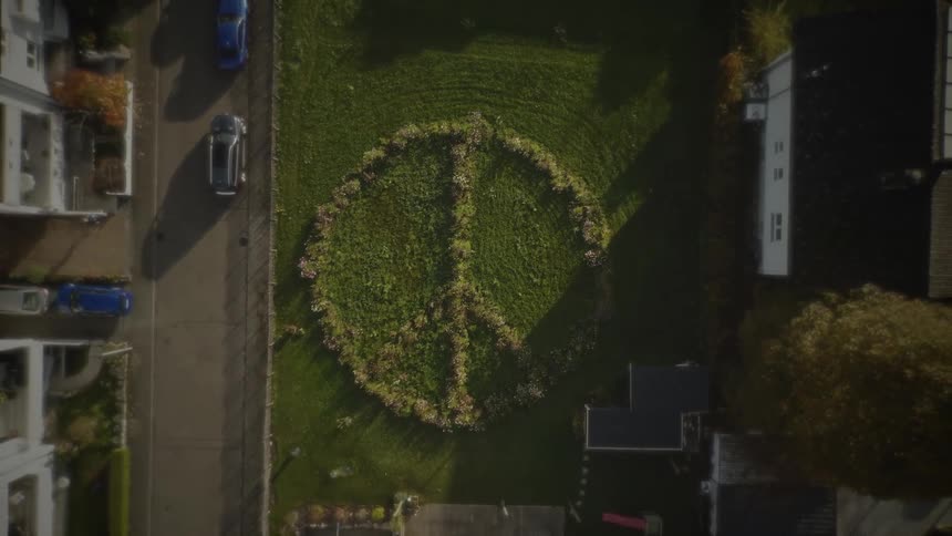 This is an aerial shot showing a large peace sign symbol carefully created with flowers and foliage on a green lawn in a residential area the camera slowly zooms out revealing the surrounding neighborhood with houses and cars parked along the street