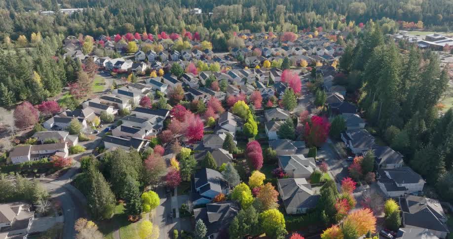 Trees with colorful foliage dot a residential neighborhood located near the woods on a crisp autumn day