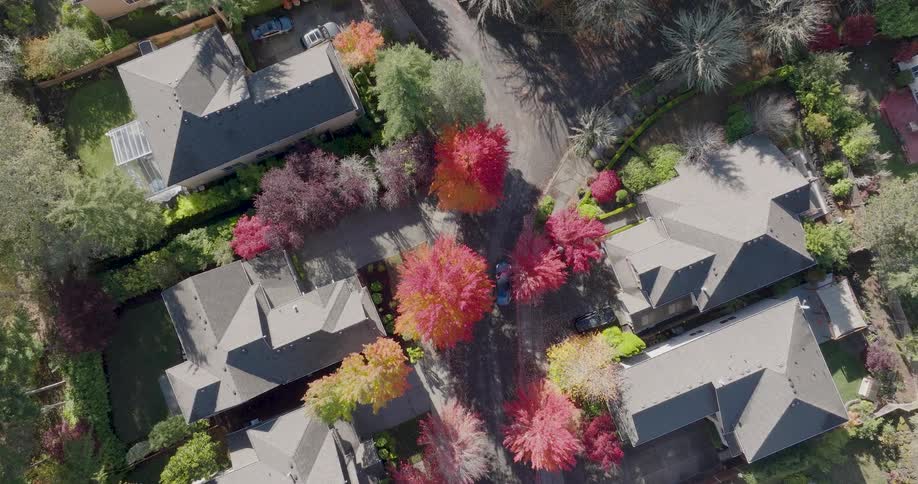 Overhead traverse as a resident drives along a quiet neighborhood street past homes with numerous trees in full fall color