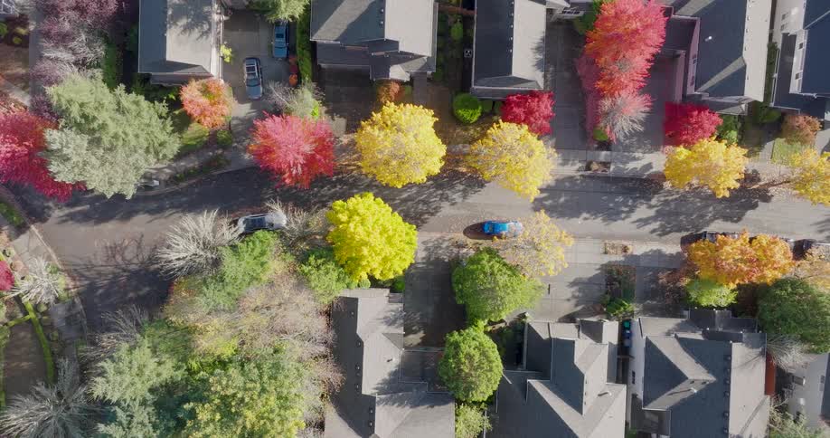 Birds eye view of a suburban street lined with family homes and vibrant fall foliage