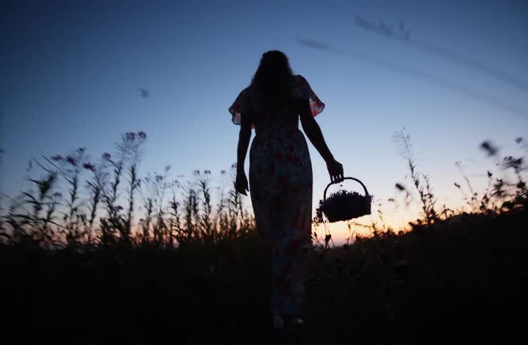 A woman walks across a grassland at sunset holding a basket in her hands