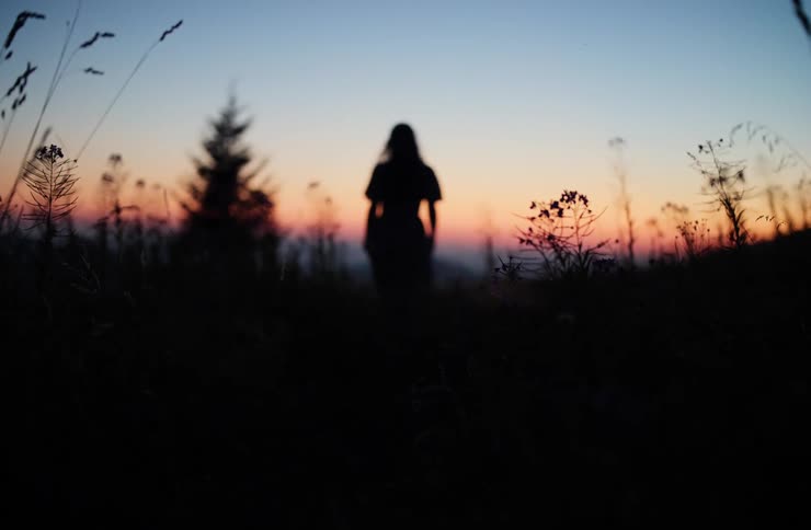 Silhouette of a person among vegetation at dusk