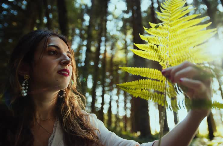 Woman holding a sunlit fern leaf