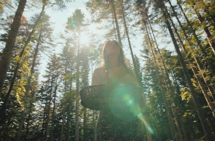 Person holds straw basket in forest lit by sunrays through tall trees