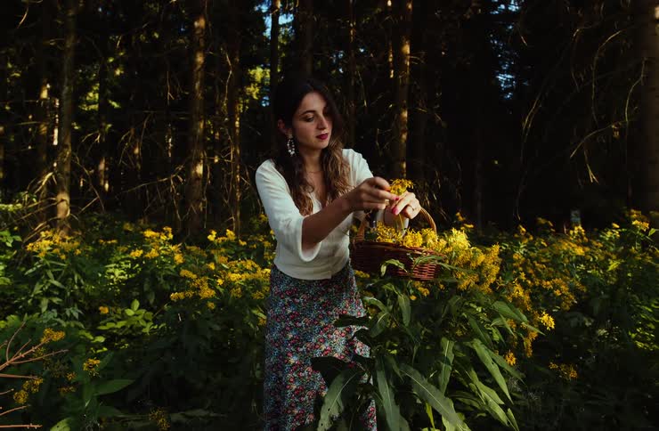 Woman gathering yellow flowers and placing them in a basket in the forest