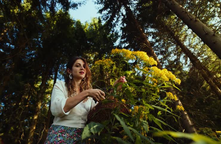 Woman gathers yellow flowers among tall trees in sunlit forested area