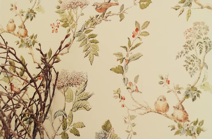 A close view of decorative wallpaper featuring a pattern of birds berries and floral vines with dark branches obscuring the left side of the frame