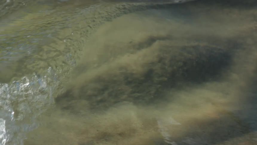 Murky water stirs over sandy bottom in shallow stream with suspended sediments