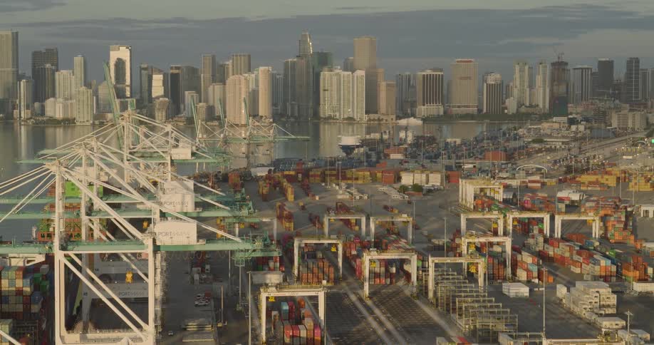 A massive machinery of a commercial shipping port featuring numerous towering gantry cranes and endless stacks of brightly colored shipping containers all set against the backdrop of a densely packed modern urban skyline