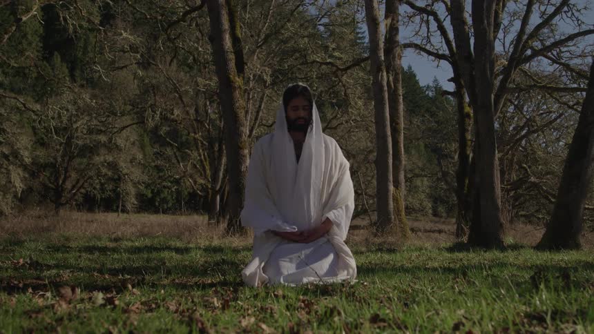 A man with a beard wearing white robes and a hood sits crosslegged with a peaceful expression looking forward in a grassy outdoor clearing surrounded by bare trees