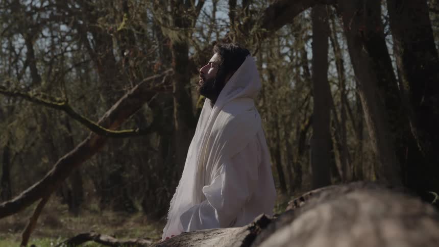 A man wearing a white hooded garment is sitting quietly in a dense dark forest gazing upward toward the sky in an act of contemplation or prayer with the sun casting bright light on his face and robe