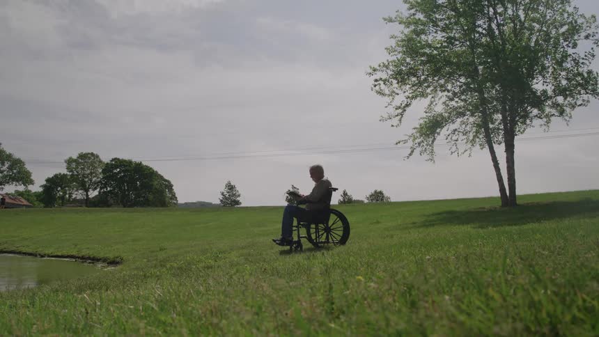 This outdoor shot features a person sitting in a wheelchair on a grassy hill overlooking a small pond or body of waterthey are holding a small bouquet of white flowers framed by a large tree on the right and a cloudy bright sky above