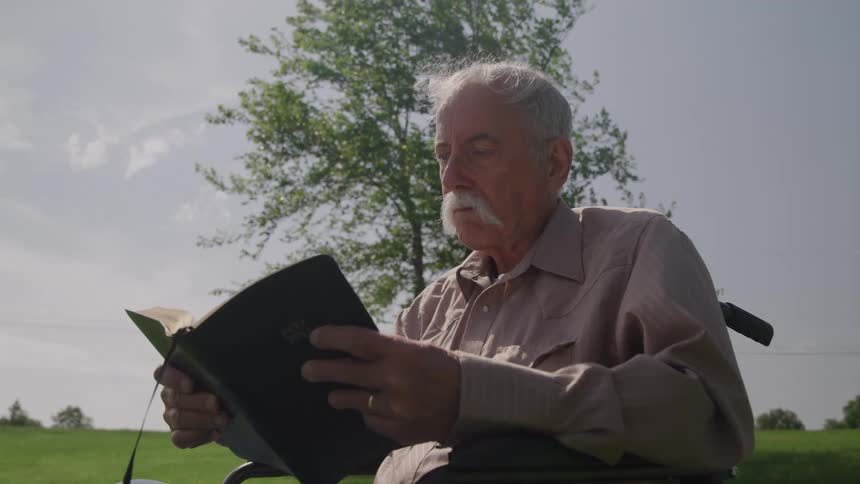 Elderly man reading a book in a treelined outdoor area
