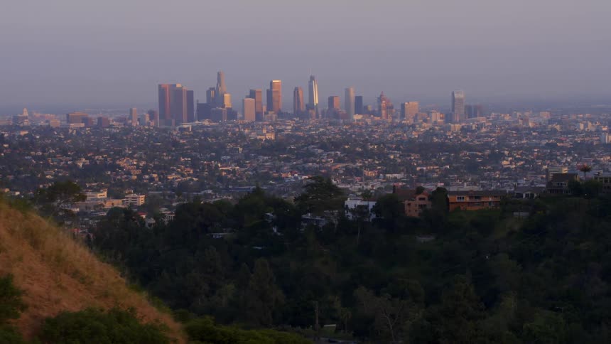 City buildings stand in the distance