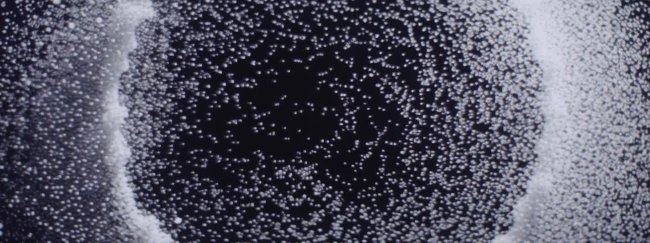 A dense cluster of white specks create abstract spherical patterns on a dark background