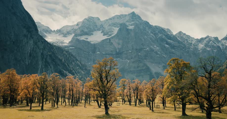 Trees standing in a field near a mountain are green in the summer and have orange foliage in the autumn