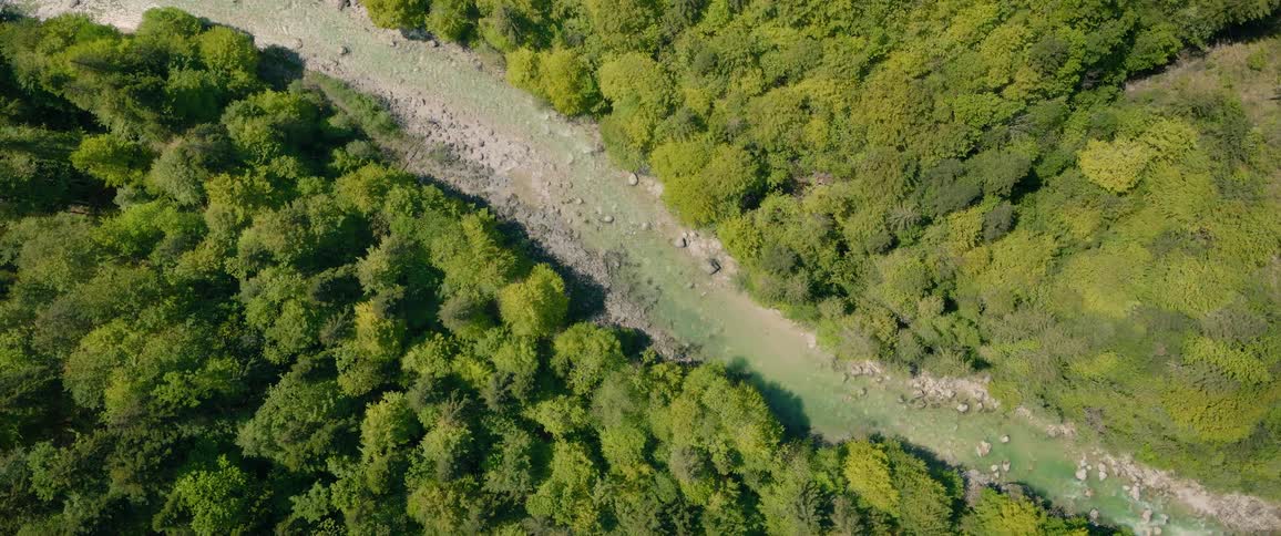 Narrow river surrounded by dense vegetation seen from above