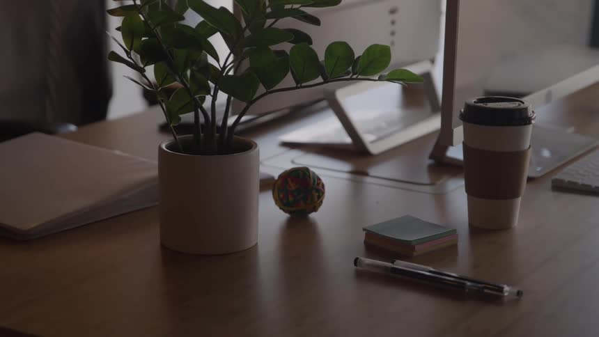 A wooden desk holds a potted green plant a rubber stress ball sticky notes pens and a disposable coffee cup against a blurred background of a computer monitor