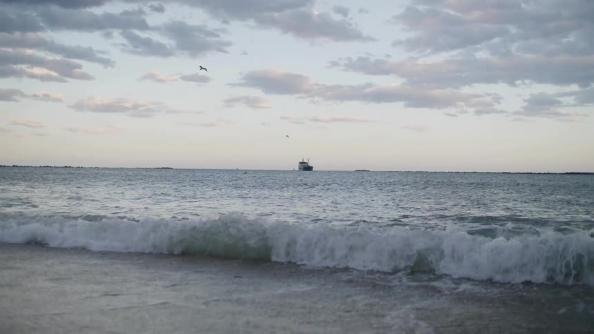 Seagulls fly over the water as waves roll in to shore and a ship sails in the distance