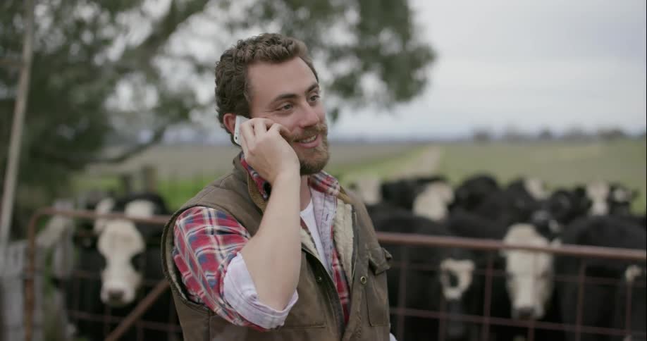 A man talks on his cell phone on a farm with cows standing behind a fence