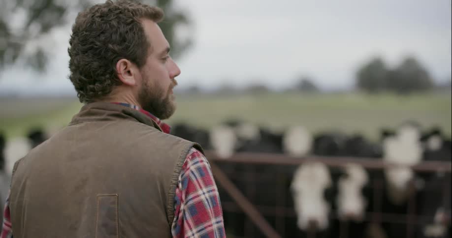 A man looks out at the field as cows stand at the gate