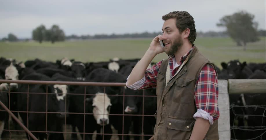 A man talks on his cell phone in front of a fence with cows behind it