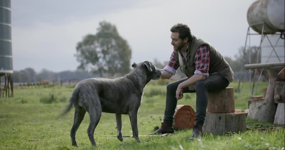 A man plays with his dog