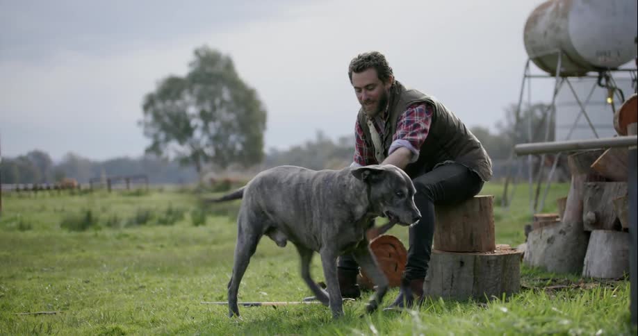 A man sitting on a tree stump plays with a dog