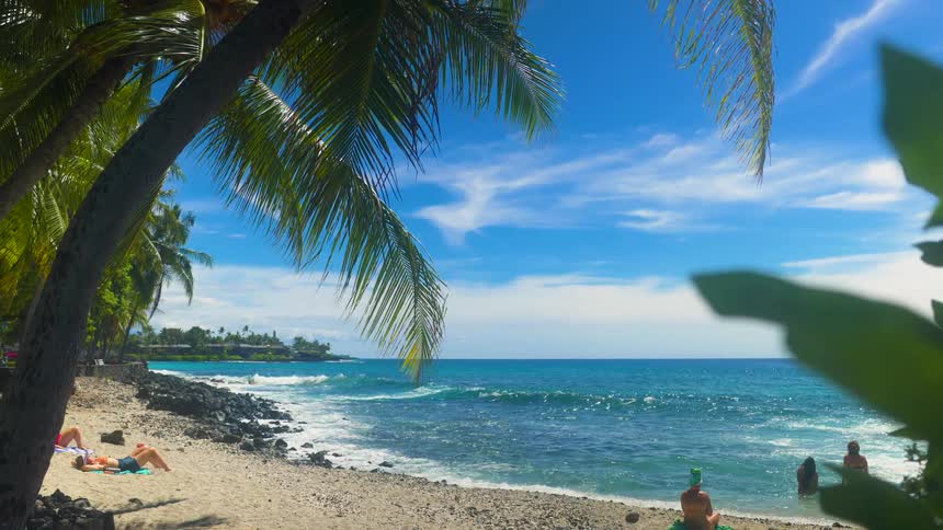 Beach with people on the sand and in the water under a blue sky with surrounding palm trees