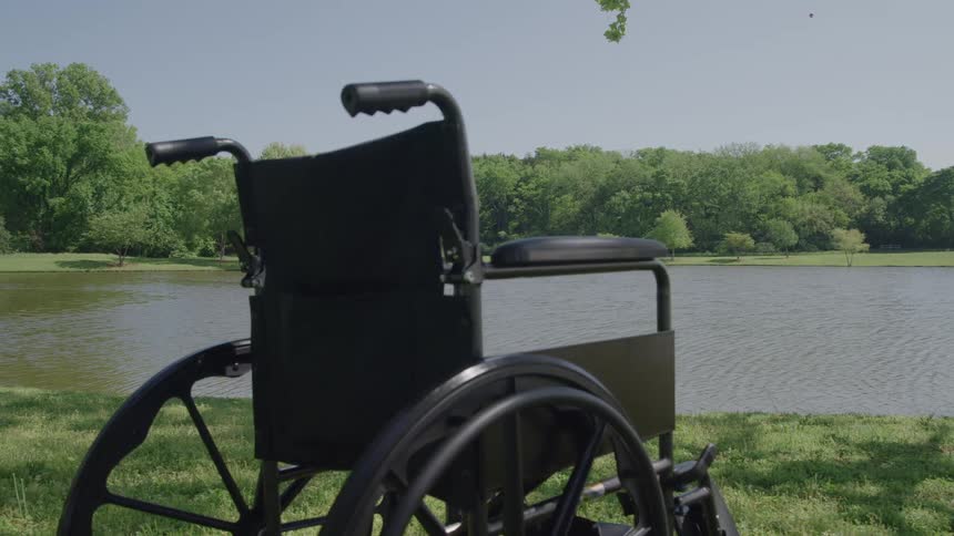 A black empty manual wheelchair positioned on a grassy bank facing a body of water with a dense line of green trees and a distant barn forming the backdrop under a bright clear sky