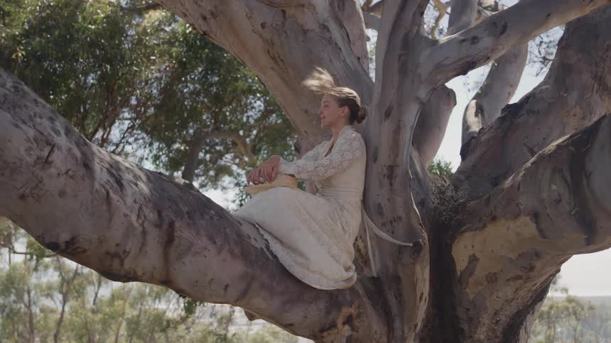 A woman wearing a white dress sits quietly on a thick horizontal branch of a large palebarked tree gazing slightly offcamera while the wind blows her hair