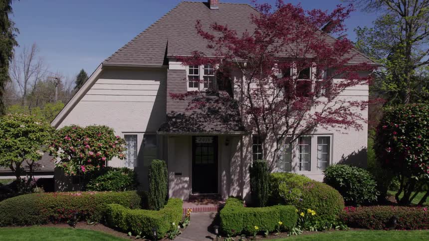 Bushes and trees with hedges outside of a neighborhood house