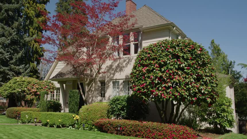 A residential house with a lightcolored facade and a prominent chimney surrounded by lush meticulously maintained landscaping featuring a large flowering bush trimmed hedges and trees under a clear blue sky