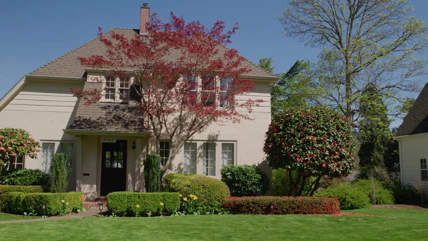 Grass lawns with trees and bushes outside of neighborhood houses