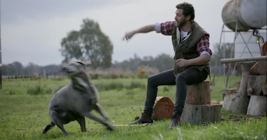 A man sitting outside throws a stick for a dog to run after