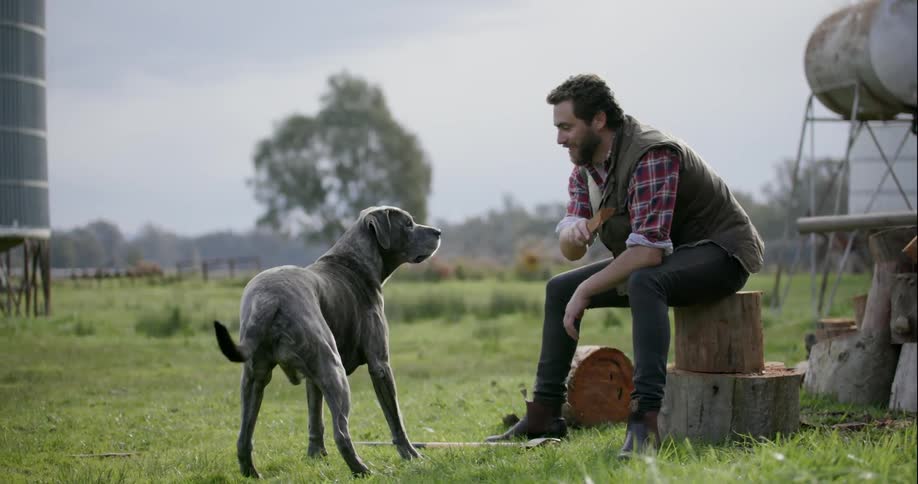 A man sitting on a stump plays keep away with a dog