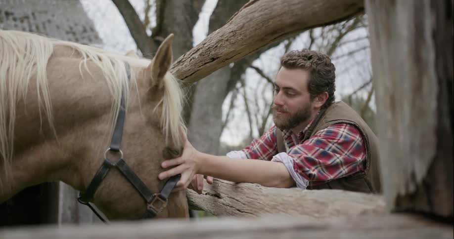 Man pets a horse through a wooden fence