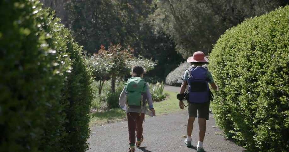 Children walk on a path on a sunny day