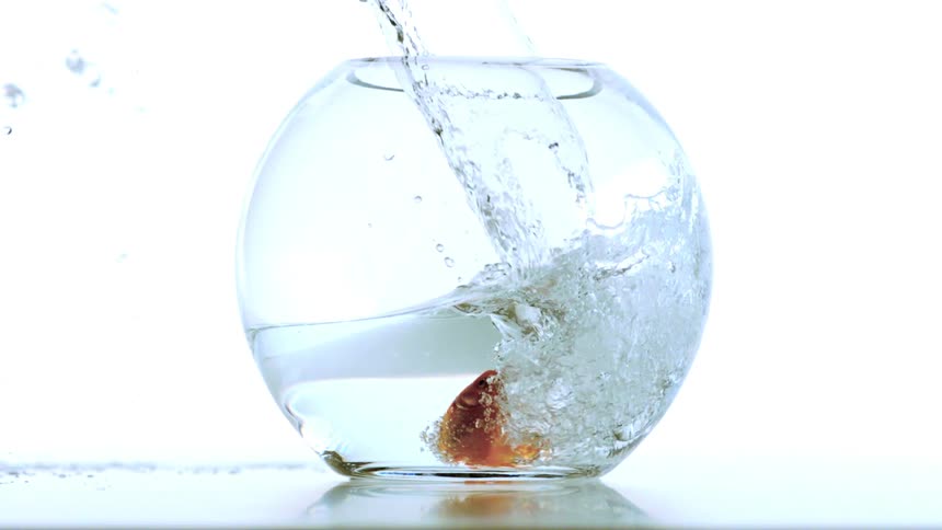 This video shows a small round glass bowl or fishbowl sitting on a reflective white surfacea stream of water is being poured into the bowl and a small orange goldfish is already inside being tossed around by the turbulent water
