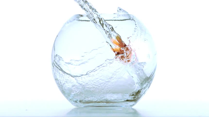 Goldfish being poured into a round clear fishbowl