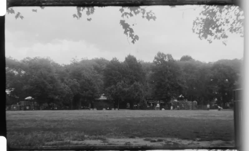 A dog runs across a field in a public park at midday surrounded by trees with a handrail just by the entrance to the field