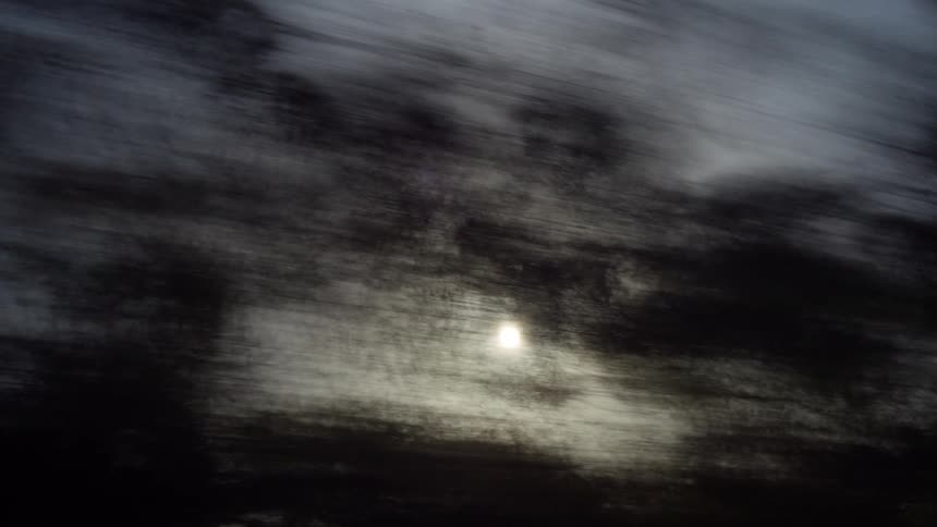 A view of trees in a forest moving by